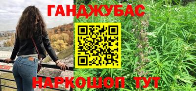 индика Усть-Джегута