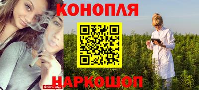 индика Усть-Джегута