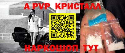 индика Усть-Джегута