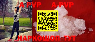 индика Усть-Джегута