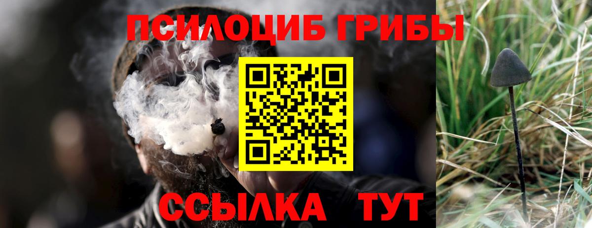 Галлюциногенные грибы прущие грибы Наро-Фоминск